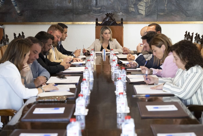 La Diputación de Castellón promueve el desarrollo del territorio con el reparto de 1,5 millones de euros del Plan de Empleo entre 134 municipios de la provincia